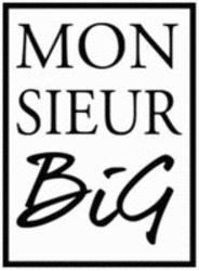 Міжнародна реєстрація торговельної марки № 1317994: MONSIEUR BIG