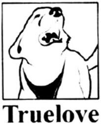 Міжнародна реєстрація торговельної марки № 1358464: True love