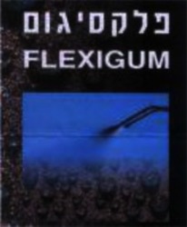 Міжнародна реєстрація торговельної марки № 1361410: FLEXIGUM