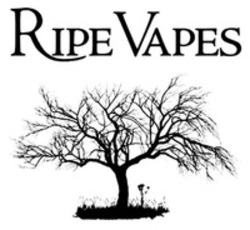 Міжнародна реєстрація торговельної марки № 1383229: RIPE VAPES