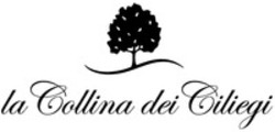 Міжнародна реєстрація торговельної марки № 1480231: la Collina dei Ciliegi