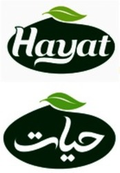 Міжнародна реєстрація торговельної марки № 1480433: Hayat
