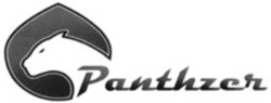 Міжнародна реєстрація торговельної марки № 1487710: Panthzer