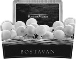 Міжнародна реєстрація торговельної марки № 1502302: SUMMER VALLEY BOSTAVAN