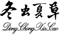 Міжнародна реєстрація торговельної марки № 1503873: Dong Chong Xia Cao