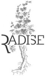 Міжнародна реєстрація торговельної марки № 1558177: RADISE