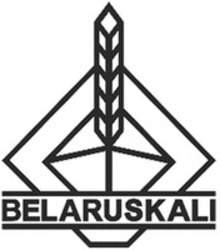 Міжнародна реєстрація торговельної марки № 1560675: BELARUSKALI