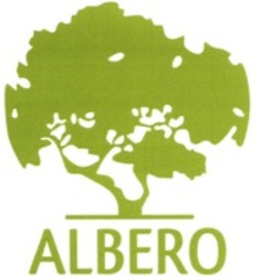 Міжнародна реєстрація торговельної марки № 1565156: ALBERO