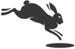 Міжнародна реєстрація торговельної марки № 1570161