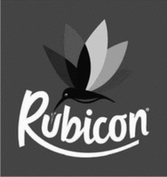 Міжнародна реєстрація торговельної марки № 1579615: Rubicon