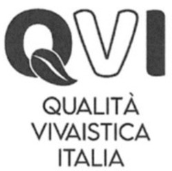 Міжнародна реєстрація торговельної марки № 1591088: QVI QUALITÀ VIVAISTICA ITALIA