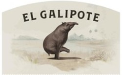 Міжнародна реєстрація торговельної марки № 1596336: EL GALIPOTE