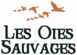 Міжнародна реєстрація торговельної марки № 1615829: LES OIES SAUVAGES