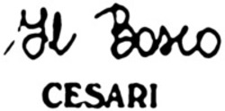 Міжнародна реєстрація торговельної марки № 1624380: Il Bosco CESARI