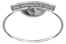 Міжнародна реєстрація торговельної марки № 1645576: UNA SPREMUTA DI OLIVE