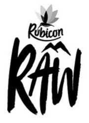 Міжнародна реєстрація торговельної марки № 1649409: Rubicon RAW