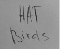 Міжнародна реєстрація торговельної марки № 1673302: HAT Birds