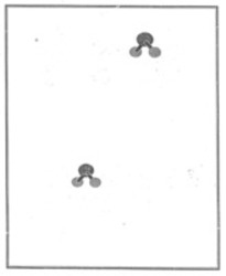 Міжнародна реєстрація торговельної марки № 1695565