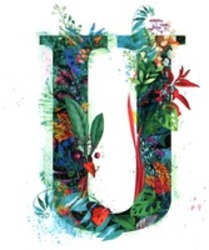 Міжнародна реєстрація торговельної марки № 1696381: U