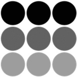 Міжнародна реєстрація торговельної марки № 1696836