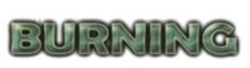 Міжнародна реєстрація торговельної марки № 1728657: BURNING