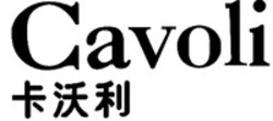 Міжнародна реєстрація торговельної марки № 1775024: Cavoli