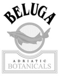 Міжнародна реєстрація торговельної марки № 1800317: BELUGA ADRIATIC BOTANICALS