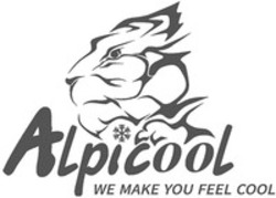 Міжнародна реєстрація торговельної марки № 1816196: Alpicool WE MAKE YOU FEEL COOL