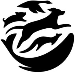 Міжнародна реєстрація торговельної марки № 1837882