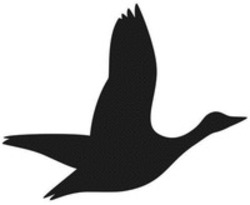 Міжнародна реєстрація торговельної марки № 1848989