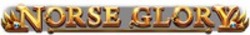 Міжнародна реєстрація торговельної марки № 1862503: NORSE GLORY