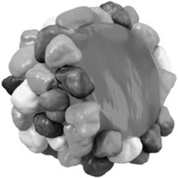 Міжнародна реєстрація торговельної марки № 1865360