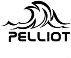 Міжнародна реєстрація торговельної марки № 1865361: PELLIOT