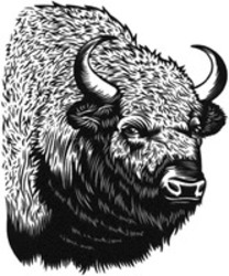 Міжнародна реєстрація торговельної марки № 1868829