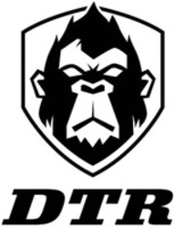 Міжнародна реєстрація торговельної марки № 1883209: DTR