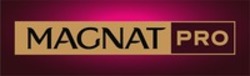 Міжнародна реєстрація торговельної марки № 1885001: MAGNAT PRO