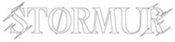 Міжнародна реєстрація торговельної марки № 1885708: STORMUR
