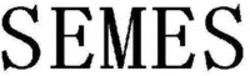 Міжнародна реєстрація торговельної марки № 1886107: SEMES