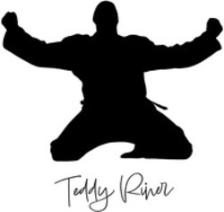 Міжнародна реєстрація торговельної марки № 1888885: Teddy Riner