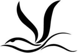 Міжнародна реєстрація торговельної марки № 1891555