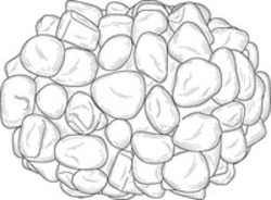 Міжнародна реєстрація торговельної марки № 1900167