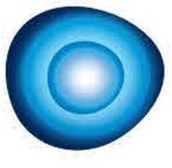 Міжнародна реєстрація торговельної марки № 1904806