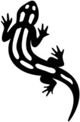 Міжнародна реєстрація торговельної марки № 1905047