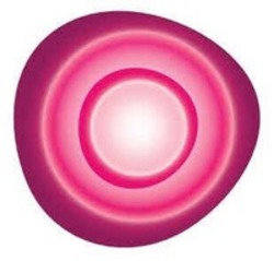 Міжнародна реєстрація торговельної марки № 1905482