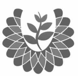 Міжнародна реєстрація торговельної марки № 1907079