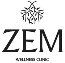 Міжнародна реєстрація торговельної марки № 1918391: ZEM WELLNESS CLINIC