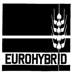Міжнародна реєстрація торговельної марки № 397961: EUROHYBRID
