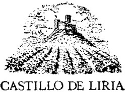 Міжнародна реєстрація торговельної марки № 460846: CASTILLO DE LIRIA