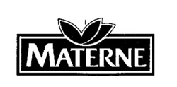Міжнародна реєстрація торговельної марки № 592133: MATERNE