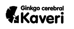 Міжнародна реєстрація торговельної марки № 595841: Kaveri